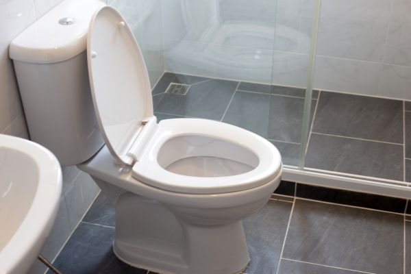 Toilet Replacement in North Charleston