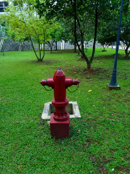 Ground Hydrant Installation in North Charleston