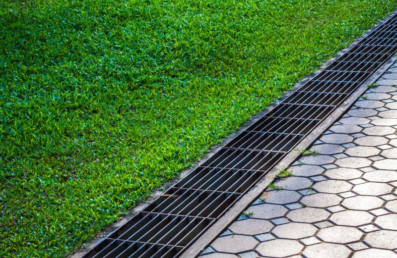 Drainage Unblocking