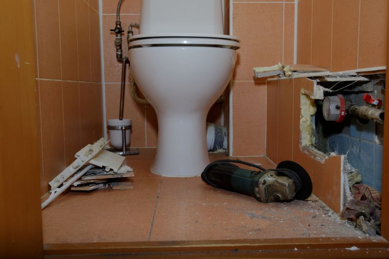 Toilet Removal